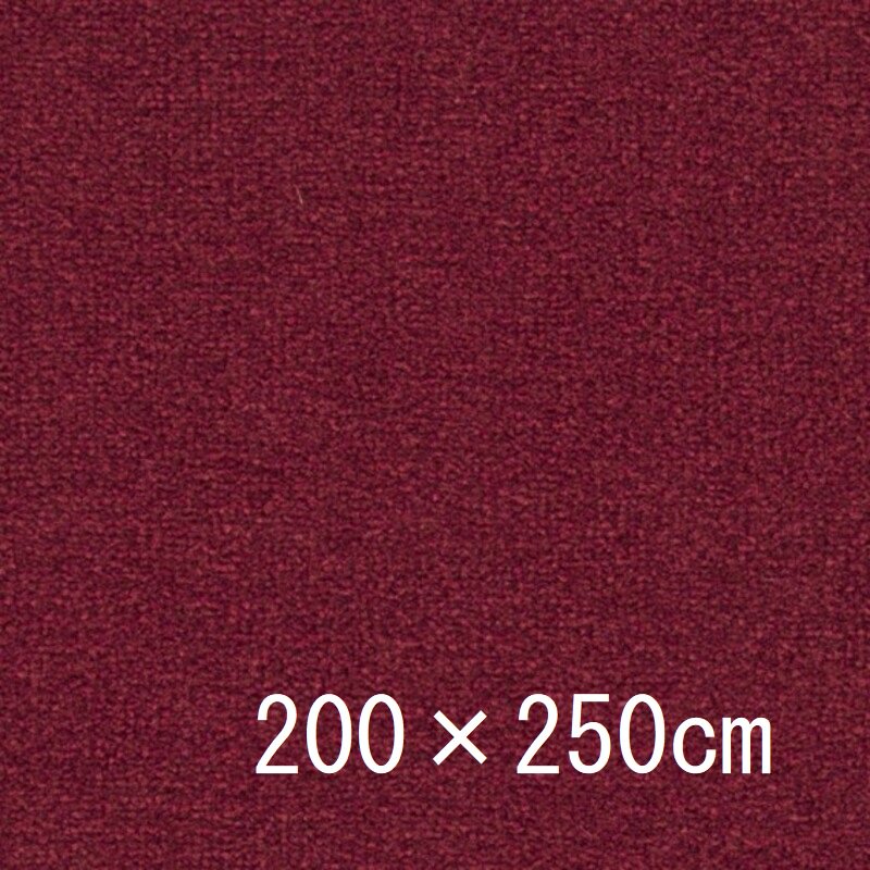 アウトレット レッドカーペット（200cm×250cm）ナイロン100% - Family