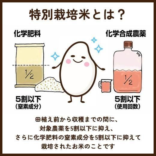令和6年産 特別栽培米】川村卓也さんのお米【岩手銀河のしずく 令和6年産 特別栽培米】川村卓也さんのお米【岩手銀河のしずく