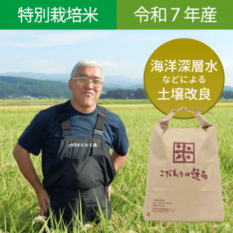 <img class='new_mark_img1' src='https://img.shop-pro.jp/img/new/icons1.gif' style='border:none;display:inline;margin:0px;padding:0px;width:auto;' />7ǯ ̺ơ۹Τơڿ㿷Ƿ3kg(2.7kg)5kg(4.5kg)10kg(9kg)