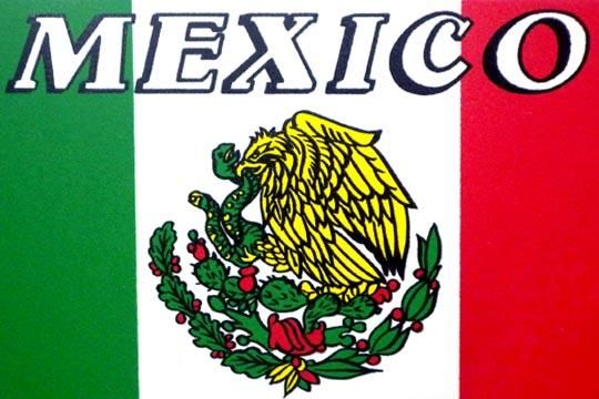 メキシコ 国旗 インテリア メキシカン フラッグ サイン プレート 通販ページ メキシコ雑貨 通販 雑貨屋fandango ファンダンゴ メキシカンスカル グアダルーペ ルチャ リブレ メキシコのインテリア 雑貨を名古屋大須で販売のオンラインショップ メキシコ 国旗 インテリア メキシカン フラッグ サイン プレート 通販ページ メキシコ雑貨 通販 雑貨屋fandango ファンダンゴ メキシカンスカル グアダルーペ ルチャ リブレ メキシコのインテリア 雑貨を名古屋大須で販売のオンラインショップ