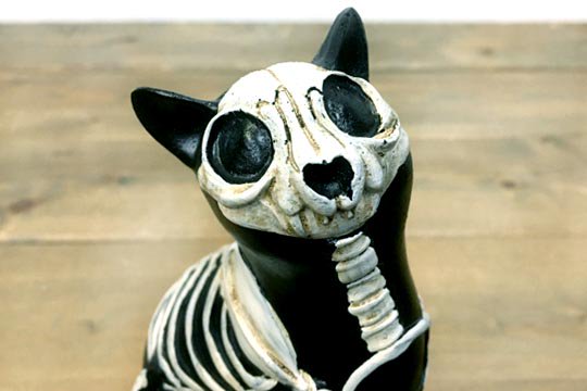 メキシコ スカル カラベラ キャット 猫 骸骨 インテリア オブジェ 通販ページ