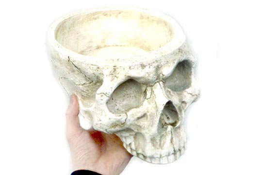スカル ヘッド プランター インテリア オブジェ 骸骨 しゃれこうべ 頭蓋骨 置物 大きいサイズ 鉢 通販ページ