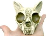 ウィジャボード キャット スカル 除霊術 儀式 カラベラ ネコ 骸骨 頭蓋骨 灰皿 アシュトレー
