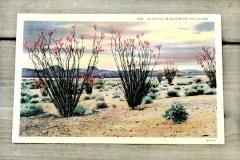 ӥơ  ݥȥ ƥ ե ܥ˥