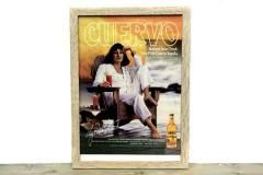 ƥ  󥸥ꥫҥ塼ȥ  ǥ ӥơ  ڤȴ ݥ