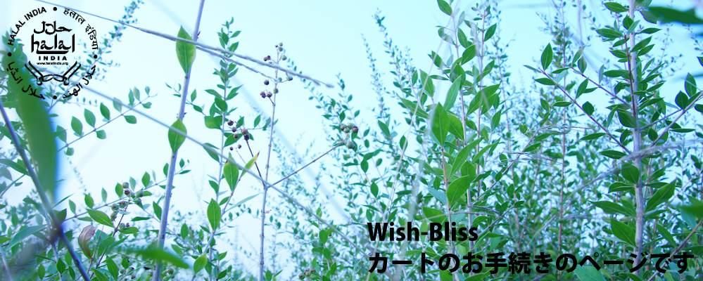 Sojat Henna Official Shop ソジャットヘナ　メーカーショップ／ Wish-Bliss