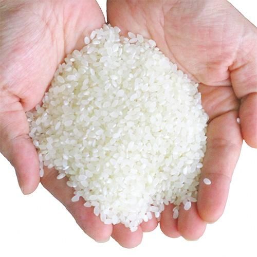 令和6年産 小高米】ササニシキ(白米)5kg - うまいお米 令和6年産 小高米】ササニシキ(白米)5kg - うまいお米