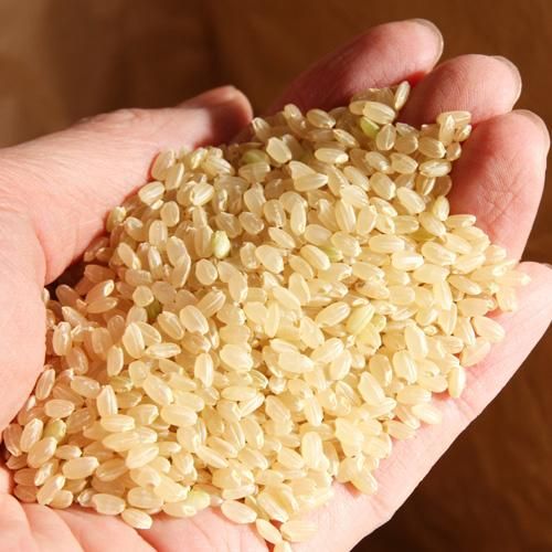 令和6年産 小高米】つや姫(玄米)5kg - うまいお米「小高米 令和6年産 小高米】つや姫(玄米)5kg - うまいお米「小高米