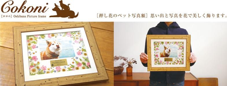 Cokoni L ペットのための押し花写真額 Cokoni ネットショップ