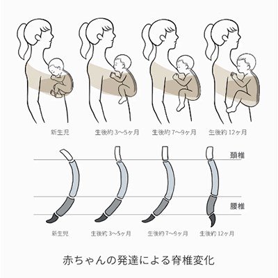 コニー抱っこ紐(サイズ固定モデル)（抱っこ紐・おんぶ紐）のレンタル-点検清掃済・安心保証あり｜ベビー用品レンタルのベビレンタ