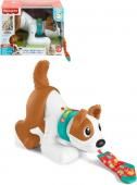 ̤Ȱˤä Х󥬥롦ѥԡ ΰ եå㡼ץ饤(Fisher Price)