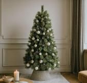 ץ롼 ٥ĥإ ꥹޥĥ꡼ (180cm) (Spruce Bethehem) ꥹޥ ÷ͷ