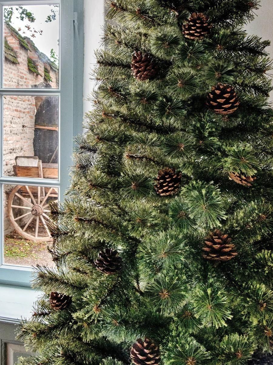 アルザスツリー 樅 (180cm) クリスマス アルザス(Alsace)のレンタル