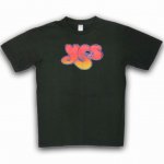 <img class='new_mark_img1' src='https://img.shop-pro.jp/img/new/icons53.gif' style='border:none;display:inline;margin:0px;padding:0px;width:auto;' />イエス　Yes　Tシャツ