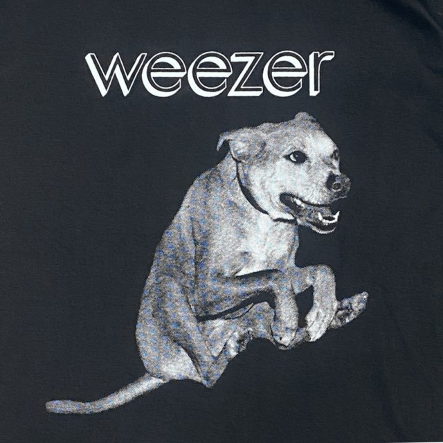 ウィーザー Weezer ラディテュード Raditude バンド Tシャツ ブラック　旅空tabisora foolsgold web-shop