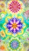 <img class='new_mark_img1' src='https://img.shop-pro.jp/img/new/icons15.gif' style='border:none;display:inline;margin:0px;padding:0px;width:auto;' /> ڥȥ꡼ Hippies Dye ְռβ̤ơ