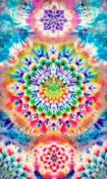 <img class='new_mark_img1' src='https://img.shop-pro.jp/img/new/icons15.gif' style='border:none;display:inline;margin:0px;padding:0px;width:auto;' /> ڥȥ꡼  