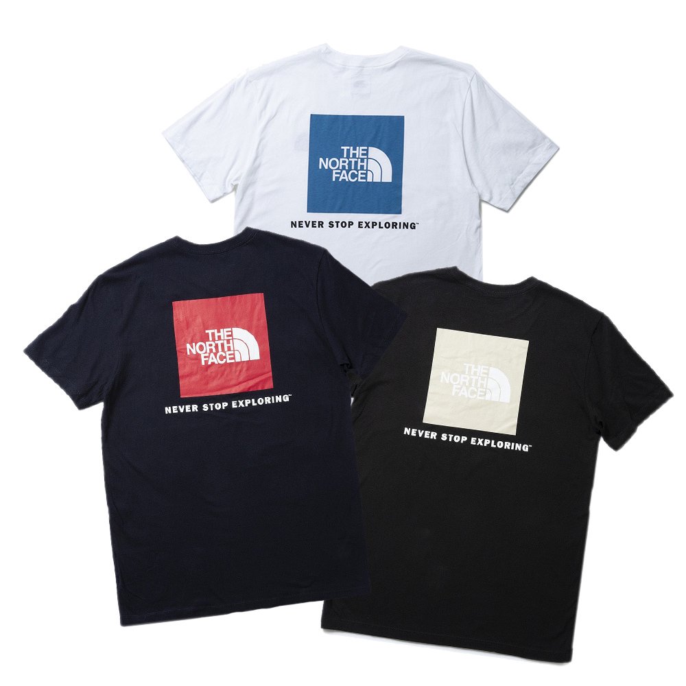 THE NORTH FACE S/S BOX NSE TEE NF0A4763 ノースフェイス メンズ