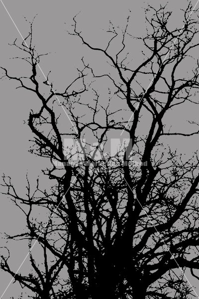 イラスト素材 ハロウィン 木の枝 ブラック M M Collection