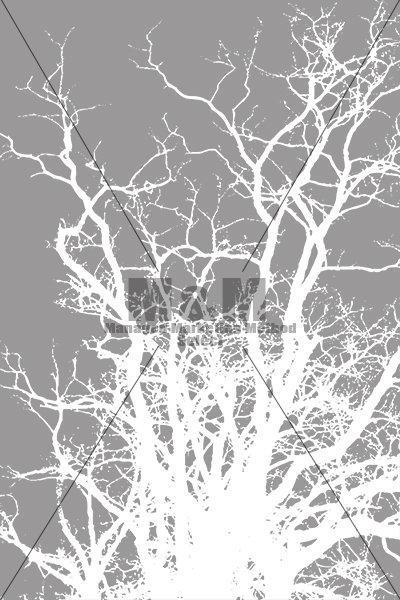 イラスト素材 ハロウィン 木の枝 ホワイト M M Collection