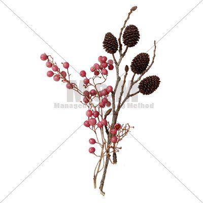 切り抜き素材 花 ドライフラワー 木の実とペッパーベリー M M Collection