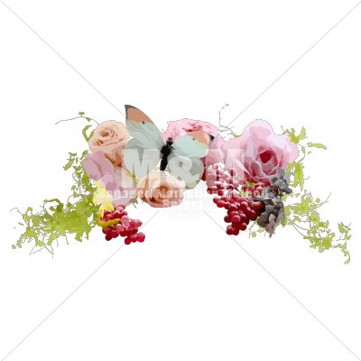 イラスト素材 花 ドライフラワー ドライあじさい 葉っぱ 赤い実 ペッパーベリー ローズ 蝶々 ２ M M Collection