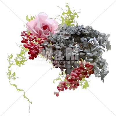 イラスト素材 花 ドライフラワー ドライあじさい 葉っぱ 赤い実 ペッパーベリー ローズ 5 M M Collection