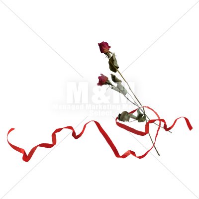 【イラスト素材】花 ドライフラワー バラと赤いリボン １ - M&M Collection