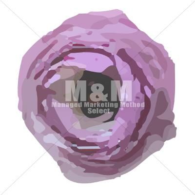 イラスト素材 花 ラナンキュラス 3 M M Collection イラスト素材 花 ラナンキュラス 3 M M Collection