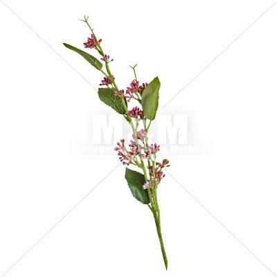 切り抜き素材 秋素材 花 ピンクの花 1 M M Collection 切り抜き素材 秋素材 花 ピンクの花 1 M M Collection