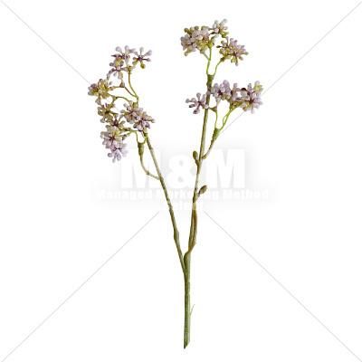 切り抜き素材 秋素材 花 ピンクの花 2 M M Collection 切り抜き素材 秋素材 花 ピンクの花 2 M M Collection