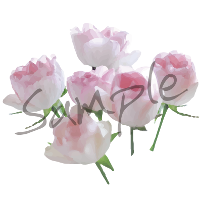 淡いピンクいろのバラ 01 イラスト素材 Flower M M Collection