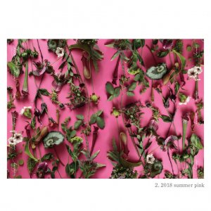 moe moe harapecolab paper 2018 summer pink 包装紙/ラッピングペーパー の商品画像