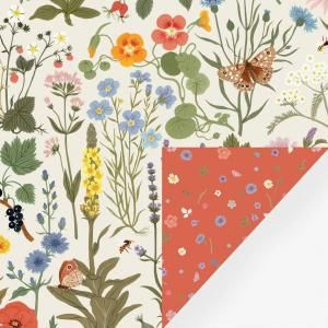 եܥ˥ξ̰/åԥ󥰥ڡѡ ξʲ