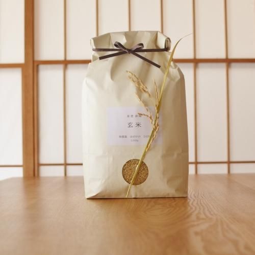 買い保障できる 10kg 玄米 【送料無料】 玄米｜はざかけ 天日干し 自然栽培 - 米・雑穀・粉類