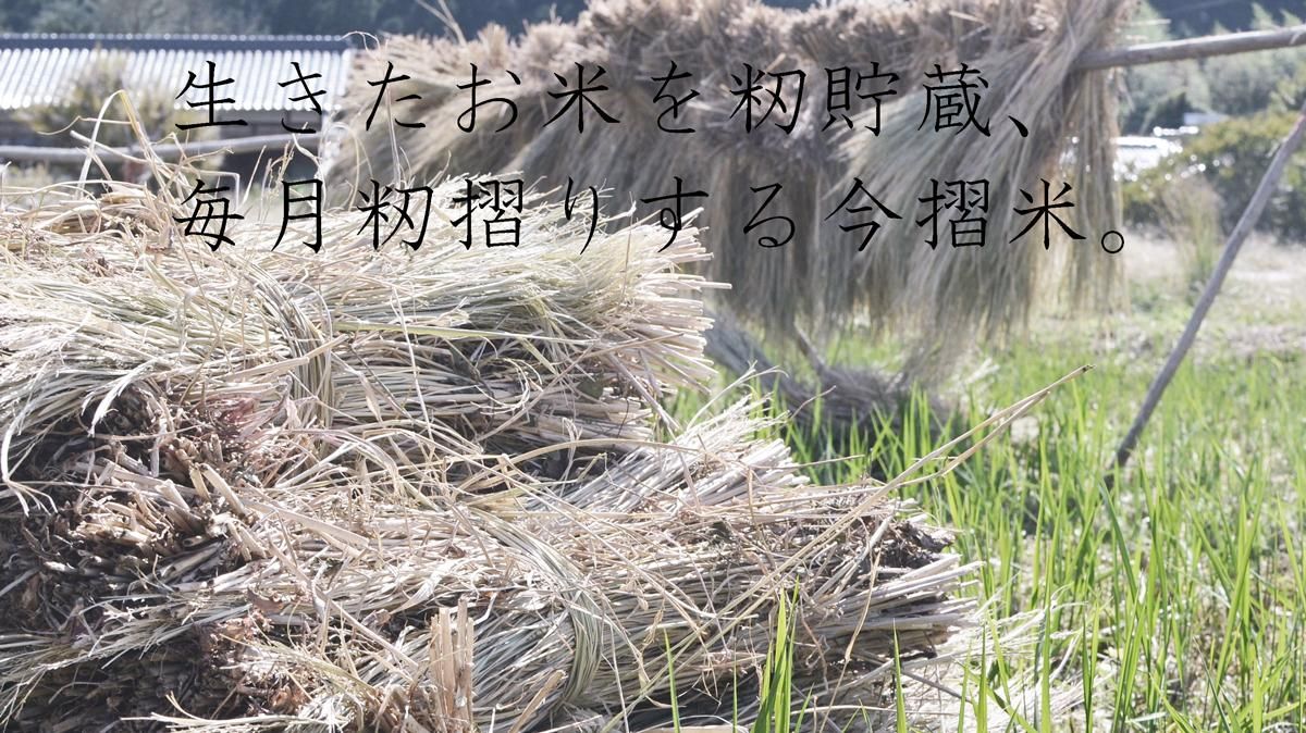 自然栽培 天日干し 玄米|はざかけ 自然栽培 天日干し 玄米|はざかけ