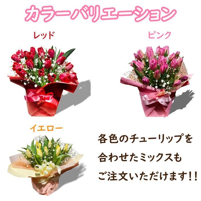 ２月誕生花 チューリップ２0本のアレンジメント 千葉県千葉市のお花屋 フラワーショップ アルスメール オンラインショップ