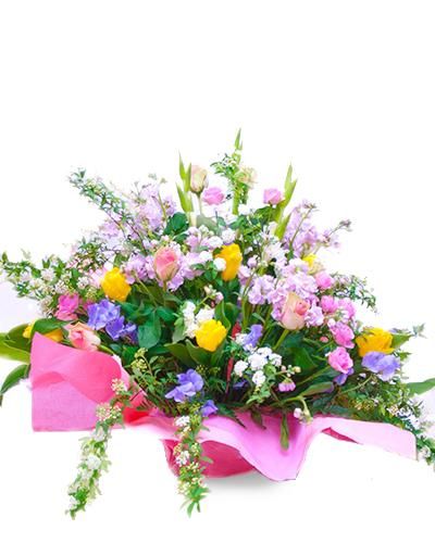 お見舞い アレンジ 千葉県千葉市のお花屋 フラワーショップ アルスメール オンラインショップ お見舞い アレンジ 千葉県千葉市のお花屋 フラワーショップ アルスメール オンラインショップ