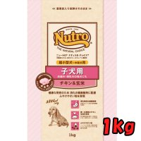 ナチュラルチョイス - ペットショップ だんぼ - 札幌市 北区 犬 猫用品