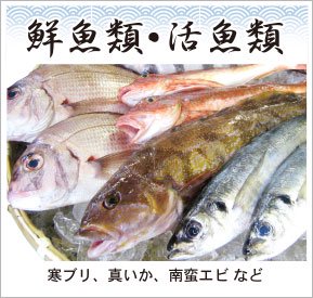 鮮魚類･活魚類