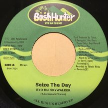 RYO the SKYWALKER / Seize The Day (USED) - SoundChannel MUSIC STORE