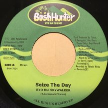 RYO the SKYWALKER / Seize The Day (USED)