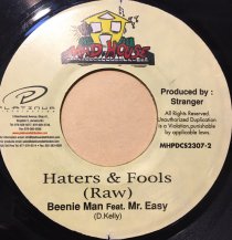 Beenie Man feat. Mr.Easy / Haters & Fools (USED)