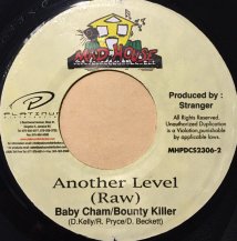 Baby Cham - Bounty Killer / Another Level (USED)