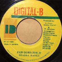 SHABBA RANKS / PAID DOWN FOR IT USED
