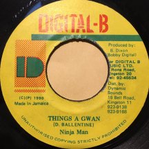 Ninja Man / THINGS A GWAN （USED） - SoundChannel Music Store