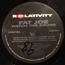 FAT JOE DA GANGSTA / WATCH THE SOUND (REMIX)