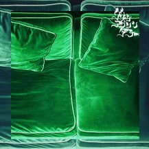 GREEN ASSASSIN DOLLAR / POINT OF THE VIEW (ŵդ) (CD)