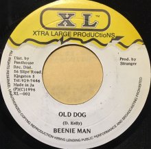 <img class='new_mark_img1' src='https://img.shop-pro.jp/img/new/icons41.gif' style='border:none;display:inline;margin:0px;padding:0px;width:auto;' />BEENIE MAN / OLD DOG (USED)