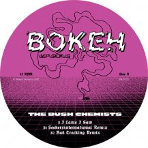 BUSH CHEMISTS / I CAME I SAW REMIXES